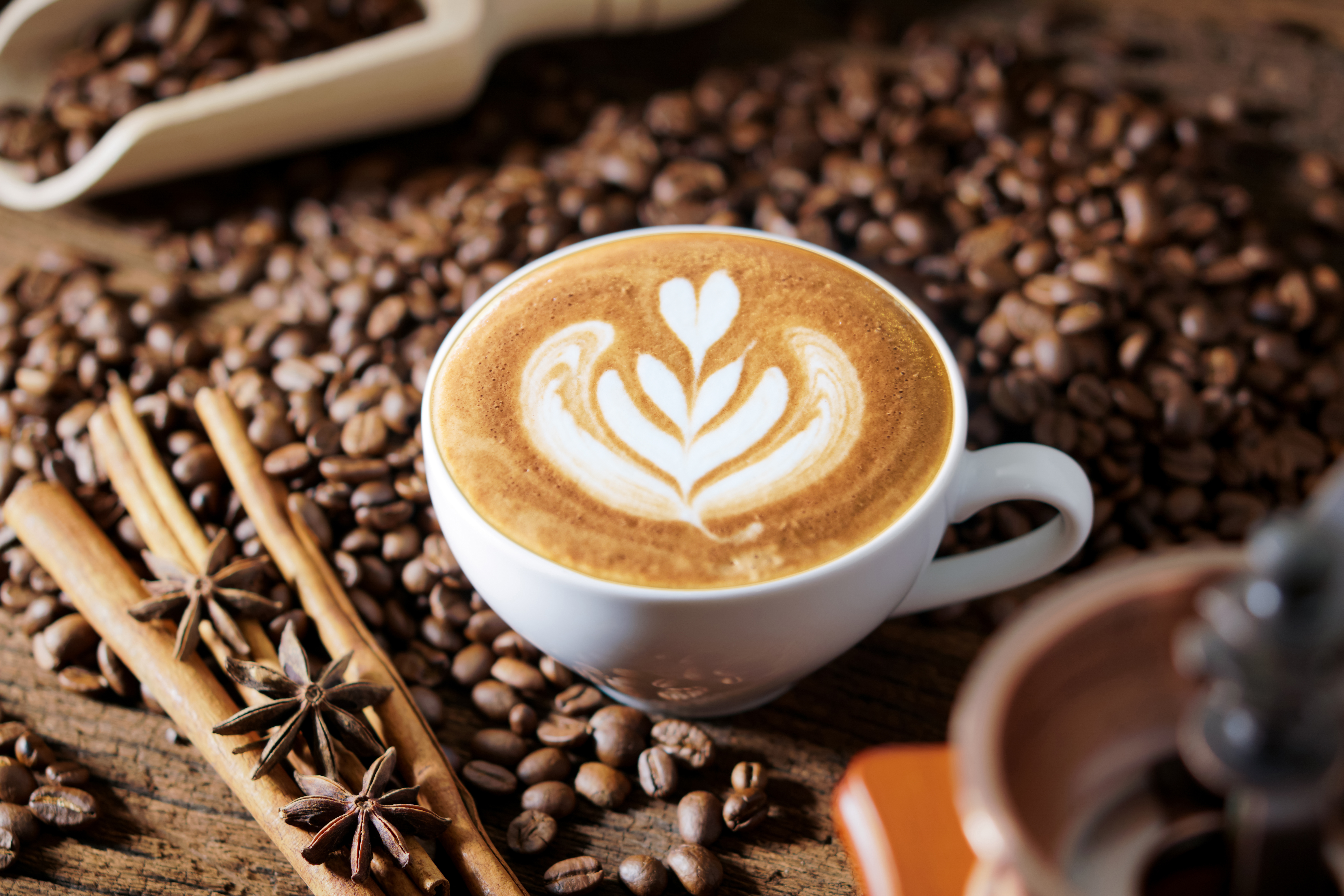 Kawa ze Lwowa – dlaczego jest taka wyjątkowa?